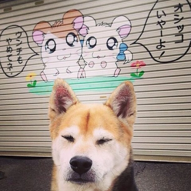 西班牙男队赛前训练效果显著,西班牙男队赛前训练效果显著吗