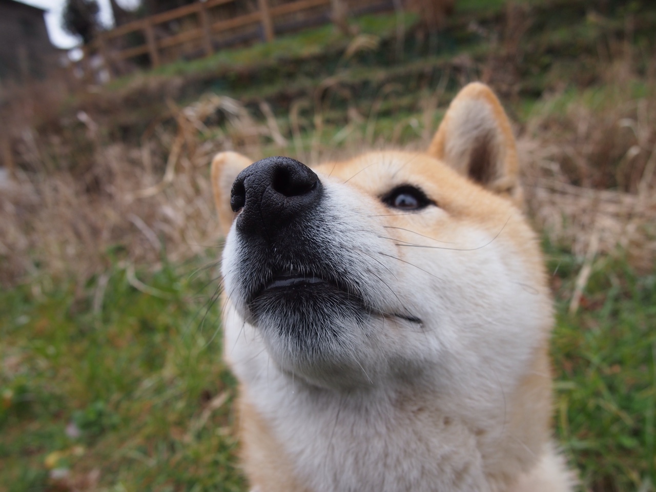 开云体育中国官方网站-马术比赛观众数量再创新高，马术比赛观众数量再创新高怎么算