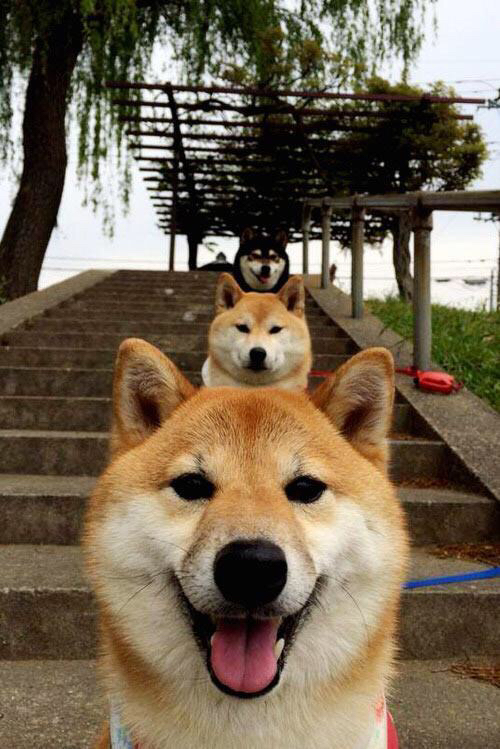 世界杯小组赛出线形势细分讲解，世界杯小组赛出线是几强