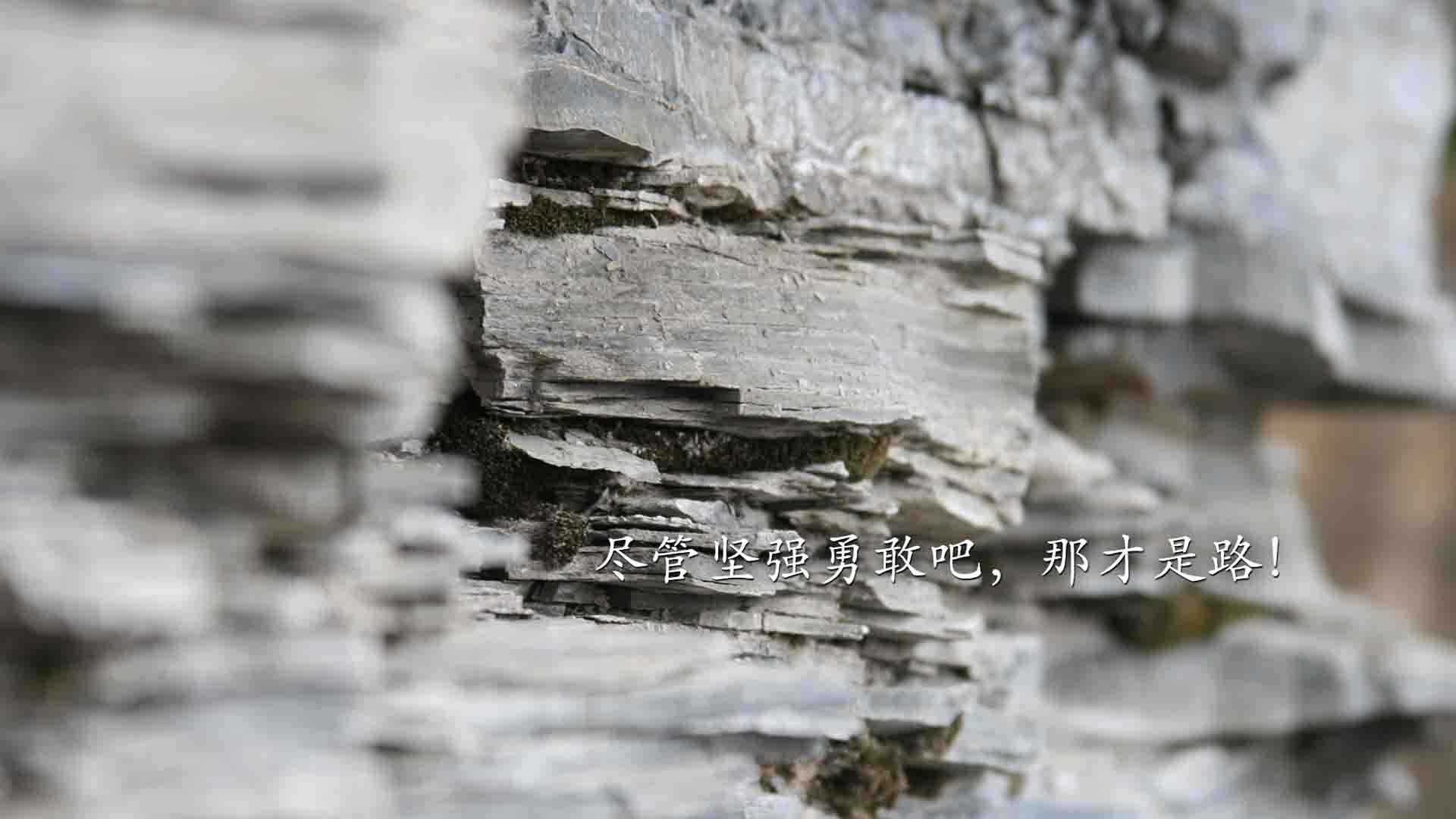 中国足球联赛引入人工智能辅助裁判技术,中国足协裁判官网