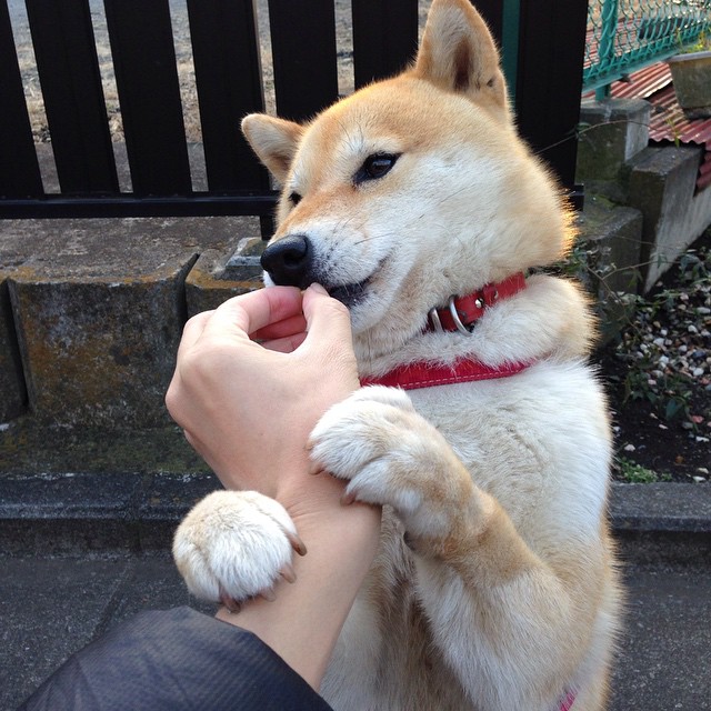 中超替补球员出场效率提升教练轮换策略逐渐成熟，2021中超替补球队收到通知