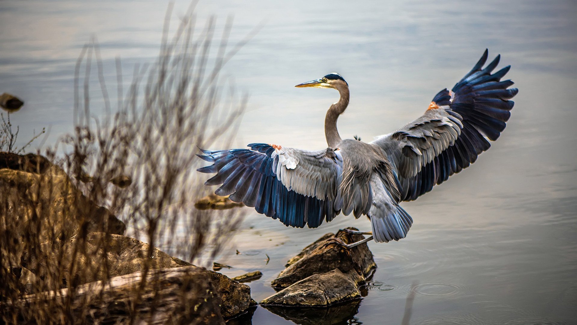 体育新闻中心心理调节话题,体育新闻的报道