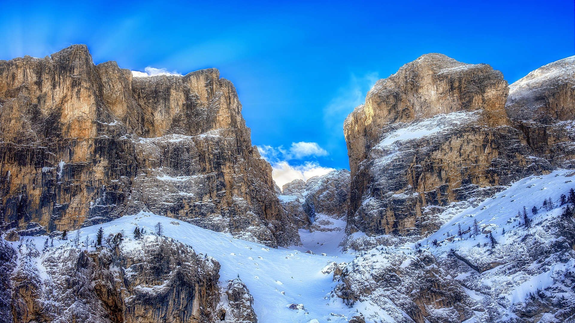 加拿大女篮在奥运预选赛中表现优异，争取晋级